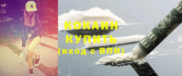 дмт Касимов