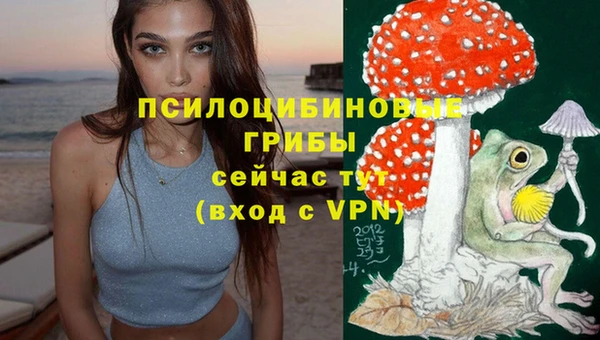 наркотики Карпинск