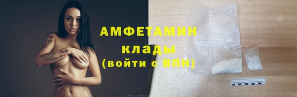 дмт Касимов