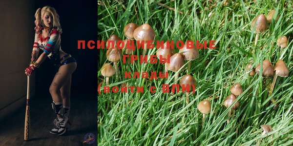 дмт Касимов