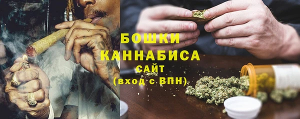 ПСИЛОЦИБИНОВЫЕ ГРИБЫ Новосибирск