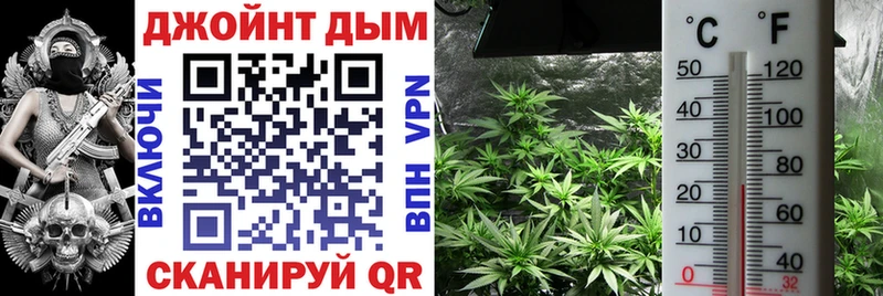 Канабис Ganja  Купить закладки  Мамадыш 